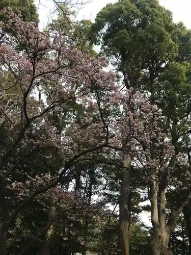 鶴岡八幡宮の自然