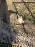 地蔵菩薩の動物