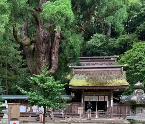 若狭姫神社（若狭彦神社下社）の山門・神門