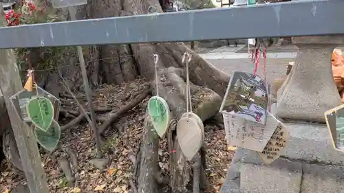 縣神社(京都府)