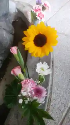 厚別神社(北海道)