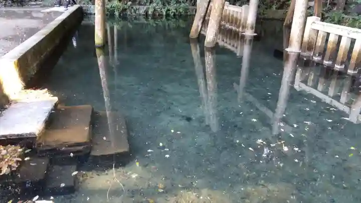 鹿島神宮の手水舎