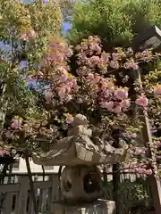 生田神社の自然