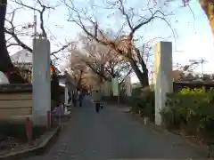 本土寺の周辺