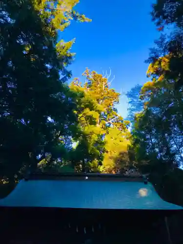 阿弥神社のその他建物