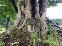 神社(名称不明)の自然