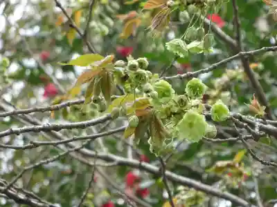 白笹稲荷神社(神奈川県)