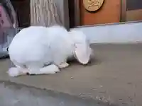 快神社(徳島県)