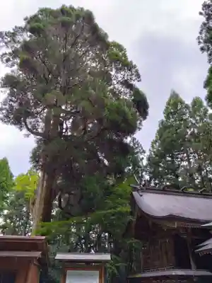 草部吉見神社(熊本県)