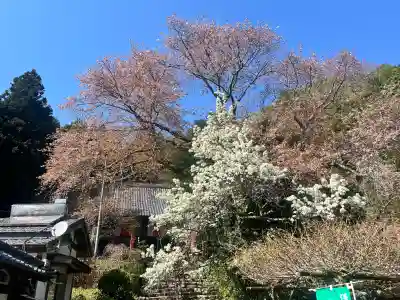 仏隆寺の{uncategorized: "未分類", other: "その他", undefined: "問題あり", building: "その他建物", grave: "お墓", sacred_gate: "鳥居", guardian: "狛犬", statue: "像", buddha: "仏像", history: "歴史", nature: "自然", garden: "庭園", animal: "動物", pagoda: "塔", temizu: "手水舎", mountain_gate: "山門・神門", sanctuary: "本殿・本堂", subordinate: "末社・摂社", art: "芸術", scenery: "景色", jizo: "地蔵", ema: "絵馬", goshuin: "御朱印", omikuji: "おみくじ", items: "授与品その他", amulet: "お守り", goshuincho: "御朱印帳", eats: "食事", festival: "お祭り", votive_dance: "神楽", shichigosan: "七五三参", wedding: "結婚式", experience: "体験その他", initially: "初詣", around: "周辺", anti_infection: "感染症対策"}