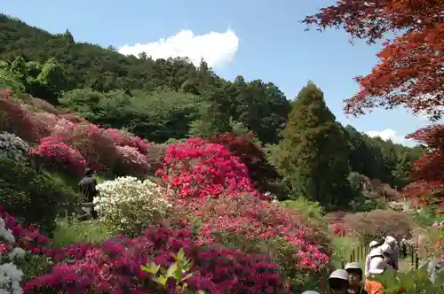 五大尊堂(長徳寺)の自然