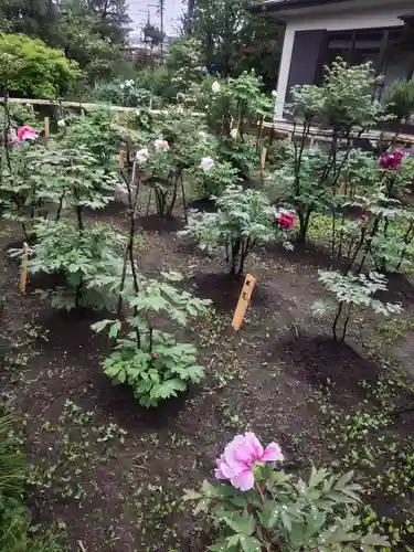 祥龍山 金剛寺(神奈川県)