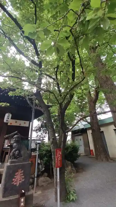 七社神社(東京都)