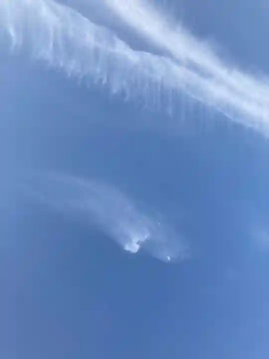 口里大歳神社(兵庫県)