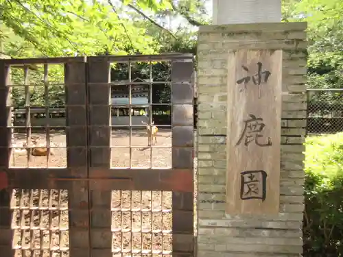 三嶋大社のその他建物
