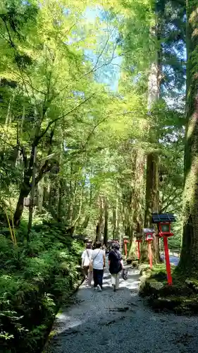 貴船神社(京都府)