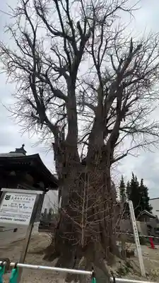 光福寺(徳島県)