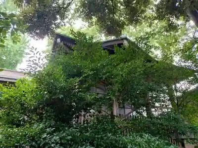 水海道鎮守 八幡神社(茨城県)