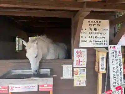 鹿児島神宮の{uncategorized: "未分類", other: "その他", undefined: "問題あり", building: "その他建物", grave: "お墓", sacred_gate: "鳥居", guardian: "狛犬", statue: "像", buddha: "仏像", history: "歴史", nature: "自然", garden: "庭園", animal: "動物", pagoda: "塔", temizu: "手水舎", mountain_gate: "山門・神門", sanctuary: "本殿・本堂", subordinate: "末社・摂社", art: "芸術", scenery: "景色", jizo: "地蔵", ema: "絵馬", goshuin: "御朱印", omikuji: "おみくじ", items: "授与品その他", amulet: "お守り", goshuincho: "御朱印帳", eats: "食事", festival: "お祭り", votive_dance: "神楽", shichigosan: "七五三参", wedding: "結婚式", experience: "体験その他", initially: "初詣", around: "周辺", anti_infection: "感染症対策"}