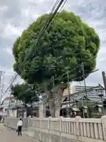 三先天満宮(大阪府)