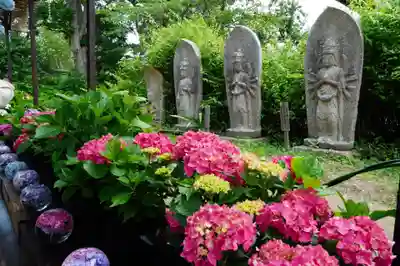 般若寺 ❁﻿コスモス寺❁(奈良県)