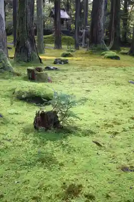 平泉寺白山神社(福井県)