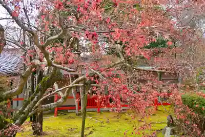 大原野神社(京都府)