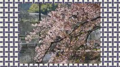 修禅寺(静岡県)