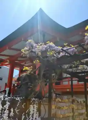 善國寺(東京都)