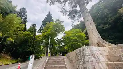 春日神社(京都府)