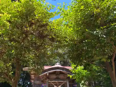 八龍神社(茨城県)