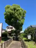 大会寺 北向観音堂(神奈川県)