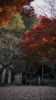 清滝寺徳源院(滋賀県)