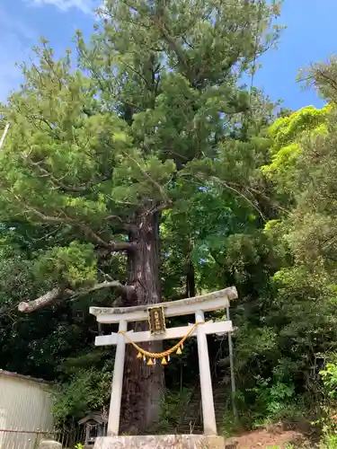 大國主神社の鳥居