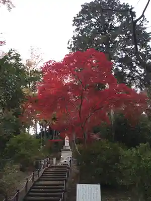 能仁寺(埼玉県)
