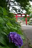 高龍神社(新潟県)