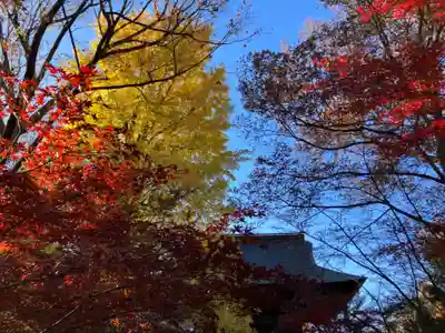 淨眞寺(東京都)