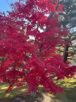 仁和寺(京都府)