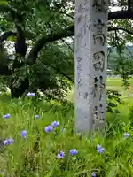 高司神社〜むすびの神の鎮まる社〜(福島県)