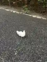 伊勢神宮外宮(豊受大神宮)(三重県)