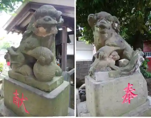 羽田神社の狛犬