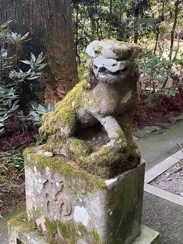 箱根神社の狛犬