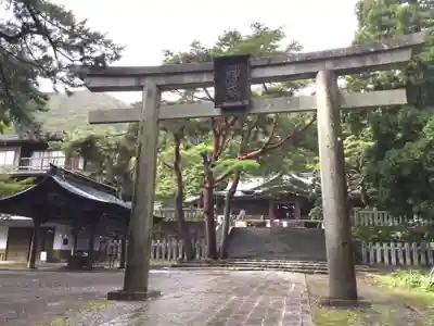 函館八幡宮の鳥居