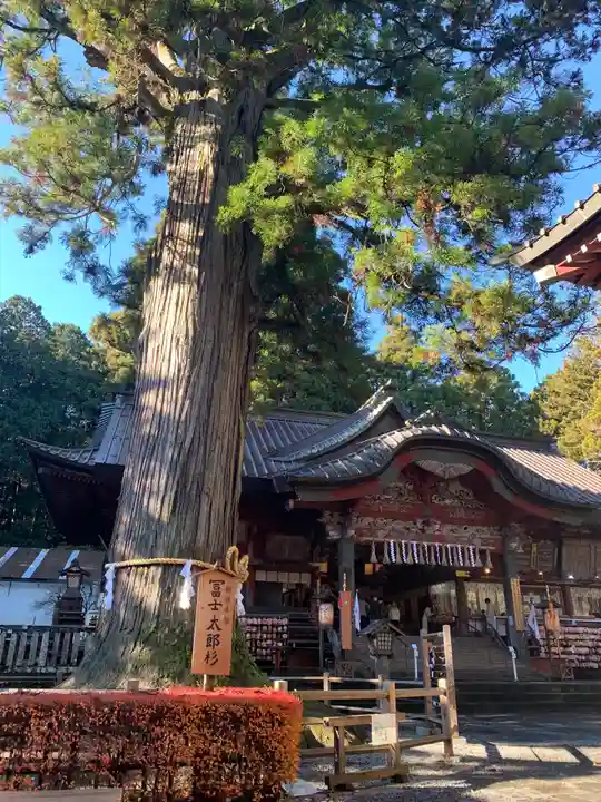 北口本宮冨士浅間神社の本殿・本堂