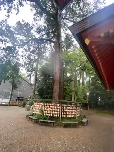 鹿島神宮の自然