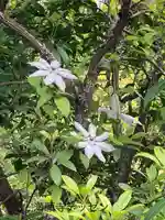 満願寺(長野県)