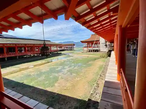 厳島神社の建物その他