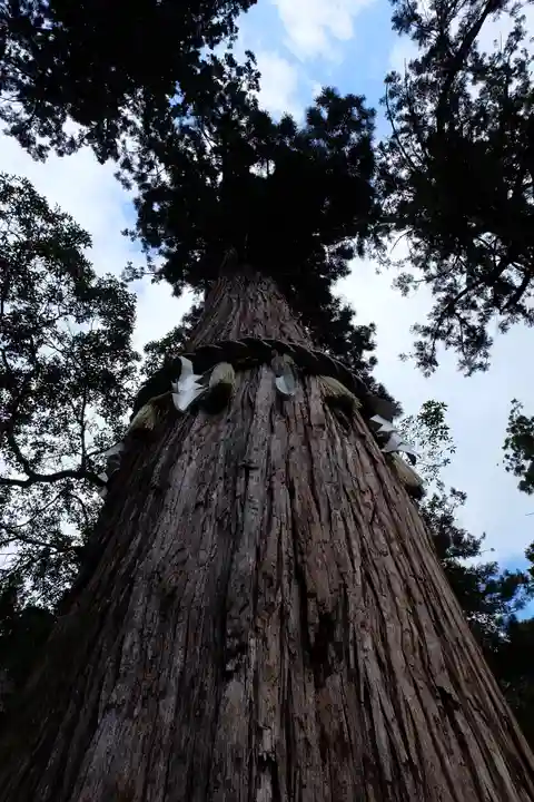 由岐神社(京都府)