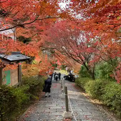 曼殊院門跡(京都府)