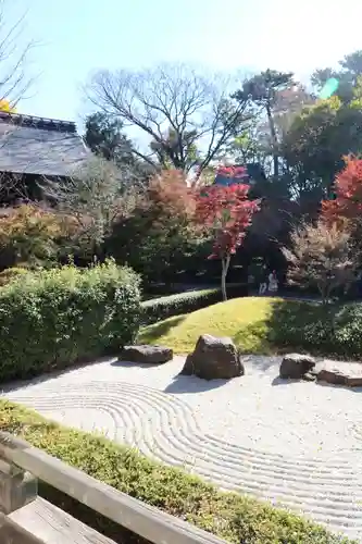 淨眞寺(東京都)